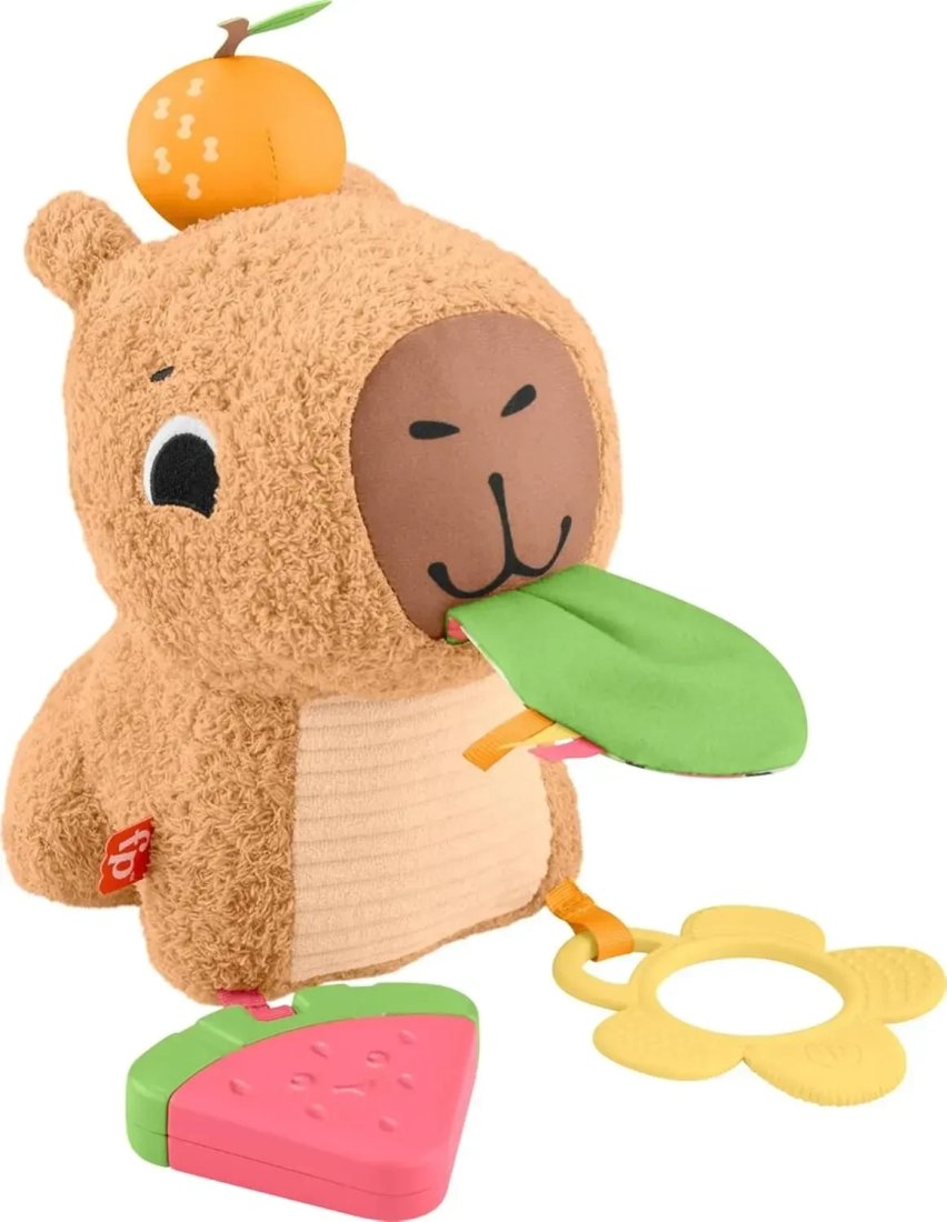 Развивающая игрушка Fisher-Price HYR54