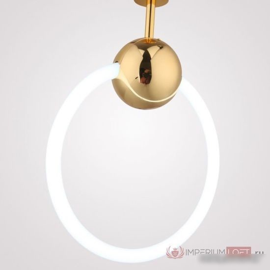 Подвесная люстра ImperiumLoft Ring01 178407-26