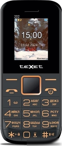 Кнопочный телефон TeXet TM-202 (черный)