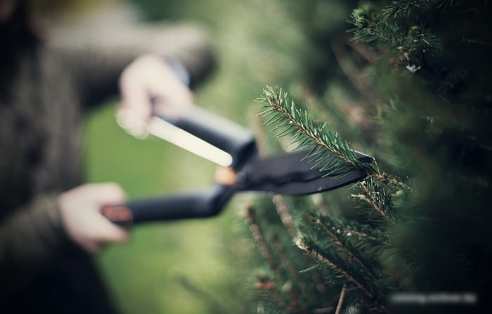 Ножницы садовые Fiskars SingleStep HS22 1001433