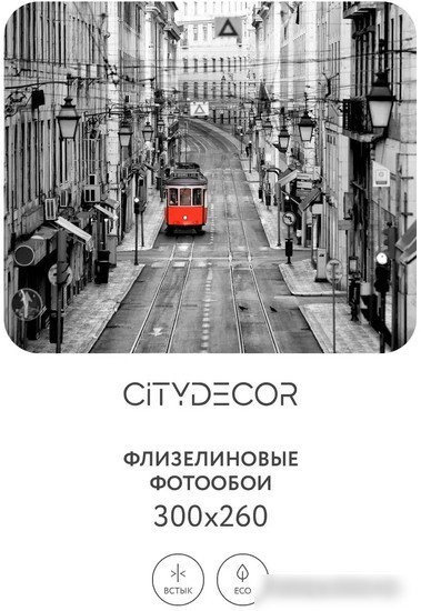 Фотообои Citydecor Города и Архитектура 53 300x260