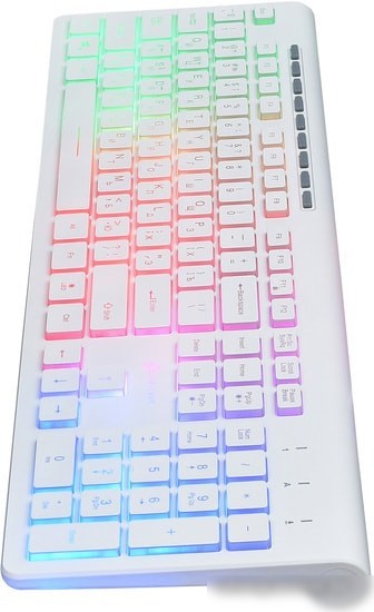 Клавиатура Oklick 490ML (белый)