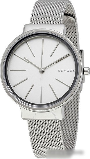 Наручные часы Skagen SKW2478