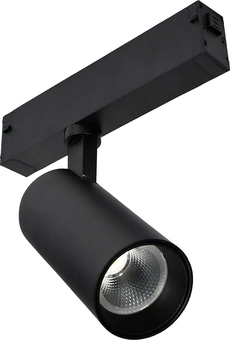 Трековый светильник ST Luce ST660.446.10H