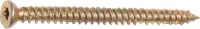 Шуруп Starfix SMC1-99095-100