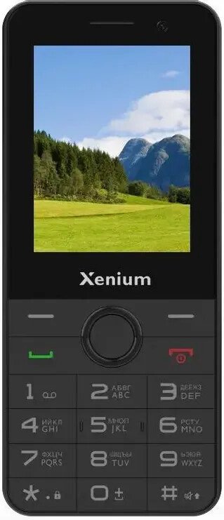 Кнопочный телефон Xenium X900 (черный)