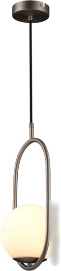 Подвесная люстра LOFT IT Glob LOFT2595-B
