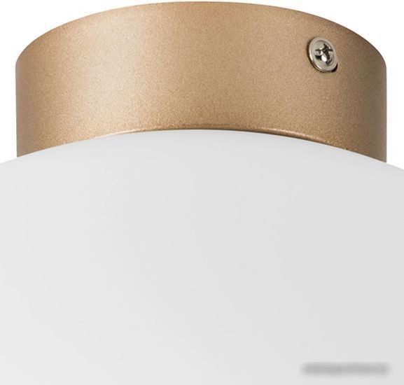 Припотолочная люстра Lightstar Globo 812033