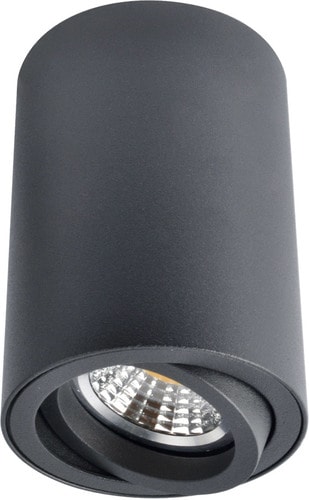 Точечный светильник Arte Lamp Sentry A1560PL-1BK