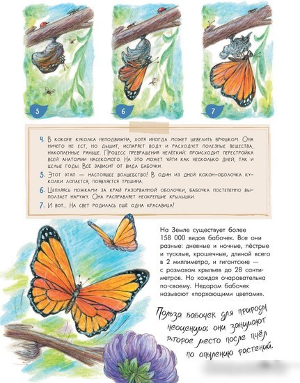 АСТ. Чудеса природы. 50 историй в картинках для детей (Царинная В.А.)