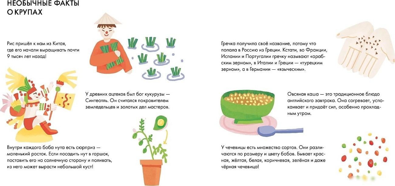 Энциклопедия издательства Альпина Паблишер. Я знаю, что я ем. Крупы (Кардакова М.)