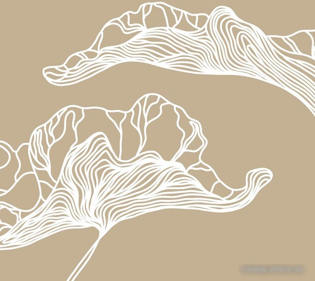 Виниловые обои Citydecor Perfect Lines 3 300x260