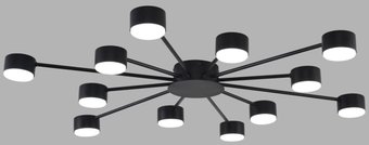 Припотолочная люстра Lumion Torina 8344/12C