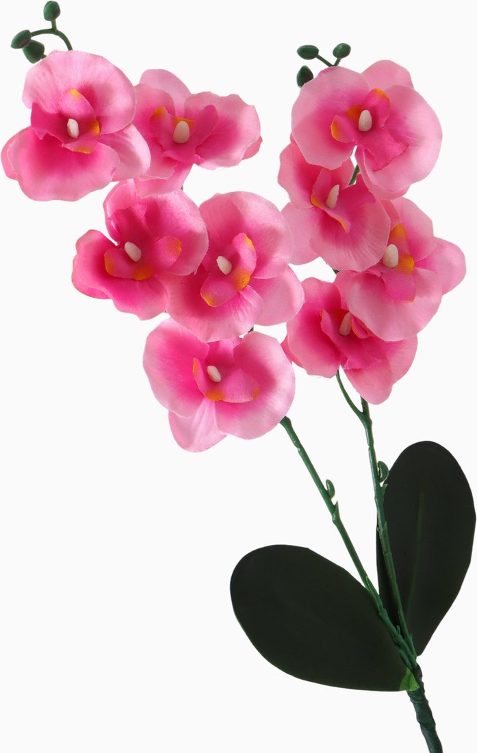 Искусственный цветок Poetry in flowers Орхидея Фаленопсис мультифлора 2337924