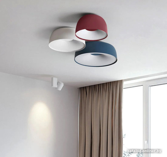 Припотолочная люстра ImperiumLoft Brim01 184477-26