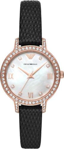 Наручные часы Emporio Armani AR11485
