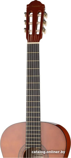 Акустическая гитара Naranda CG120-4/4