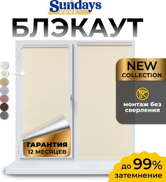 Рулонные шторы Sundays Home LM 168-03 64x215 (молочный)