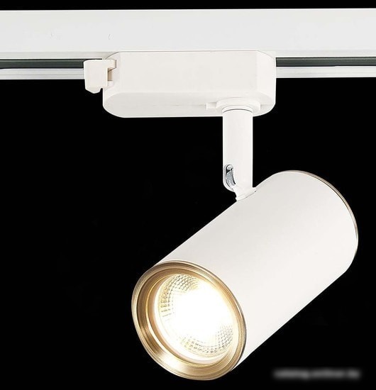 Трековый светильник ST Luce Cromi ST301.536.01