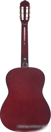 Акустическая гитара Terris TC-3901A NA