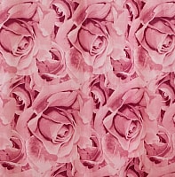 Шторка-занавеска для ванны Miranda Roses