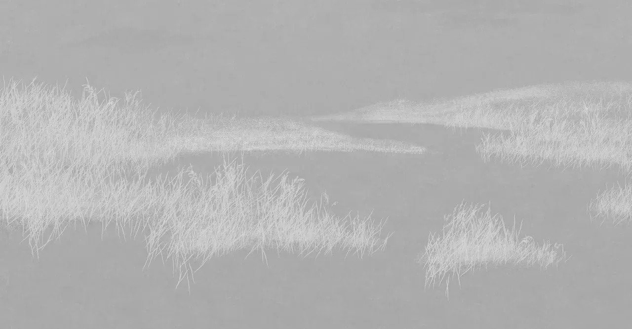 Фотообои Mio Tesoro Невесомость 61 (500x260)