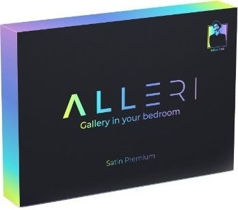 Постельное белье Alleri Сатин Premium Евро Max СП-314