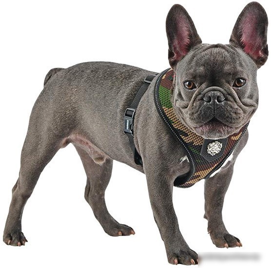 Шлейка Puppia Thermal Soft PLRD-HA9345-BK-XL (черный)