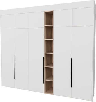Шкаф распашной Рэйгрупп Рэй S257-В13-2-EBЕ В13-2 (дуб элисон/белый премиум)