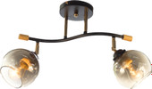 Спот Aitin Pro НПБ 02-2x60-101 XA1588B/2 (черный/золото)
