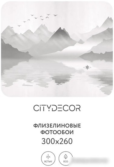Фотообои Citydecor Абстракция 107 300x260
