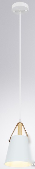 Светильник Arte Lamp Thomas A7032SP-1WH