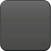 Выключатель Schneider Electric Blanca BLNVA101016