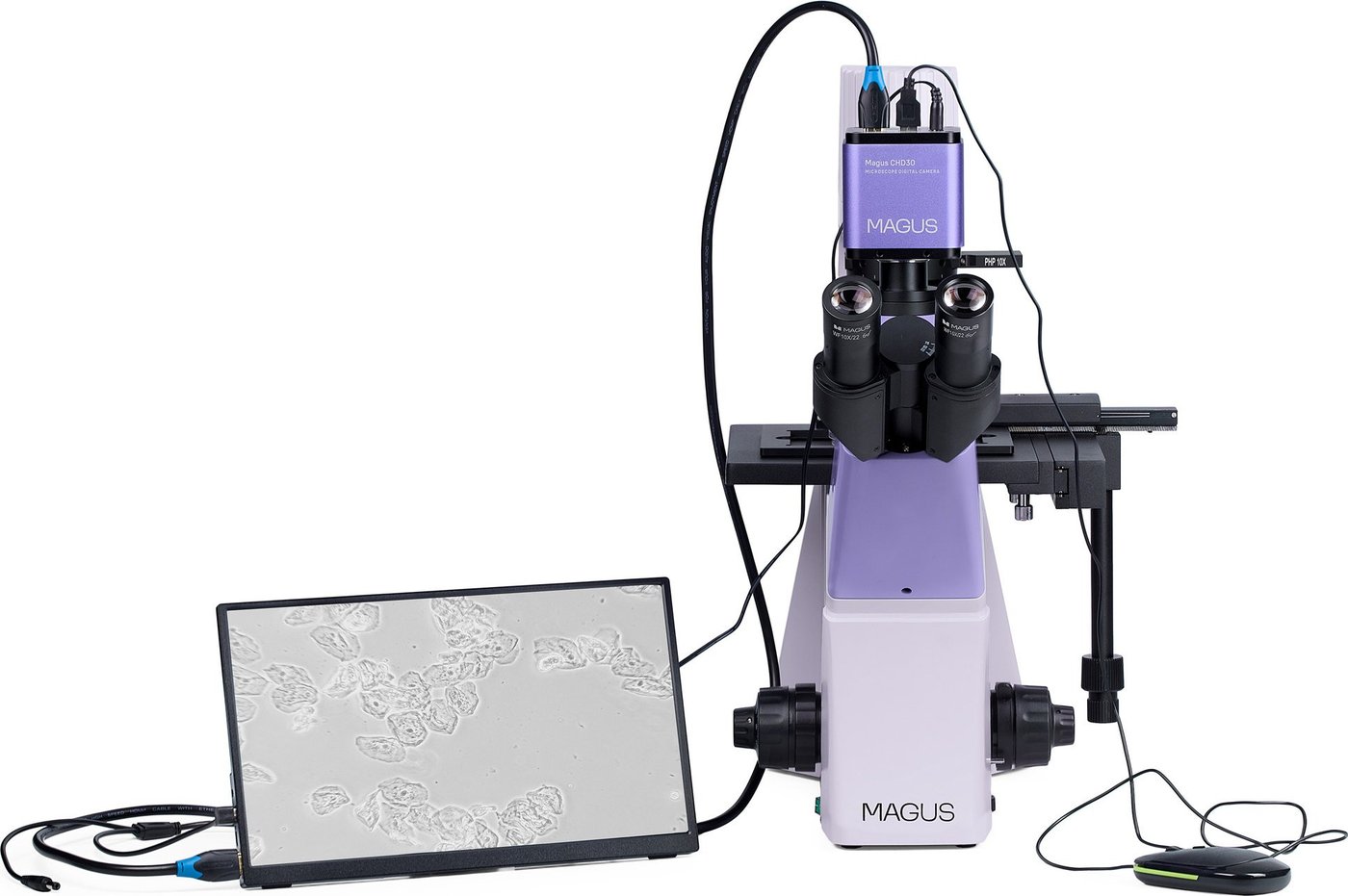 Микроскоп Magus Bio VD300 LCD 83013