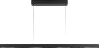Подвесная люстра Arte Lamp Lao A2190SP-1BK