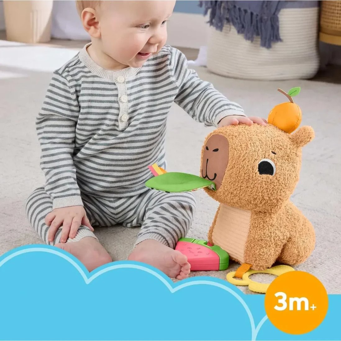 Развивающая игрушка Fisher-Price HYR54