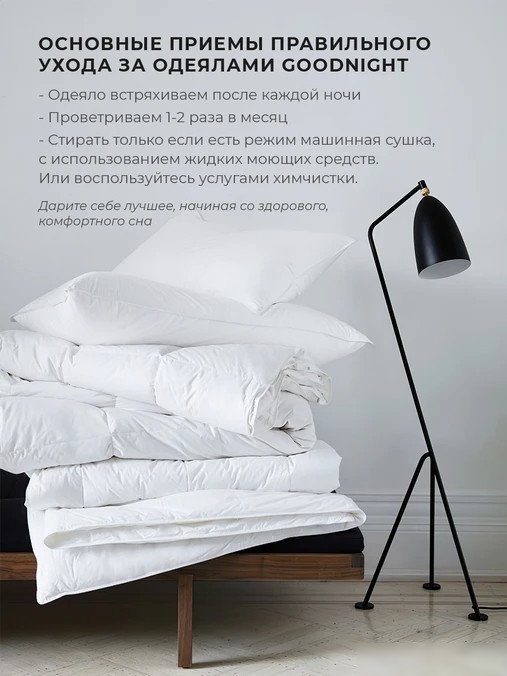 Одеяло GoodNight Comfort 172x205 OLM300dv (лебяжий пух/микрофибра)