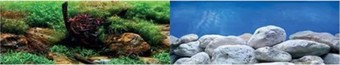 Фон Barbus Водный сад. Яркие камни Background 017 45 см х 94 см