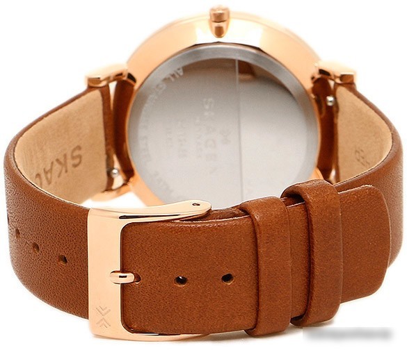 Наручные часы Skagen SKW2488