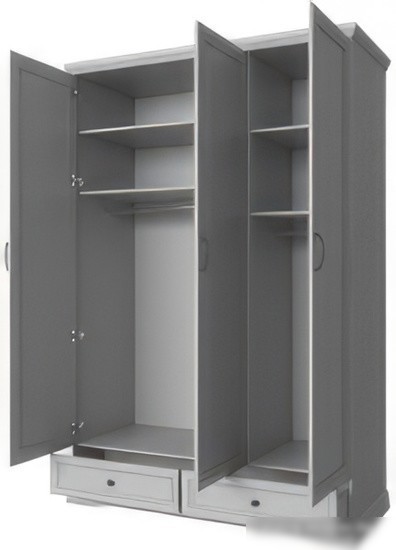 Шкаф распашной Anrex Valencia 3DG2SZ (серый)