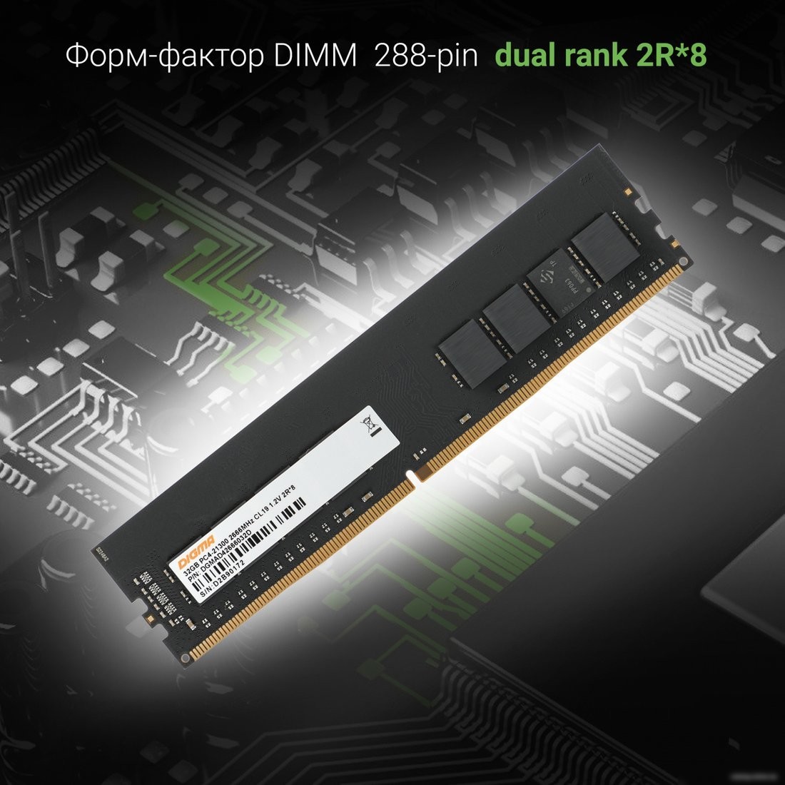 Оперативная память Digma 32ГБ DDR4 2666 МГц DGMAD42666032D
