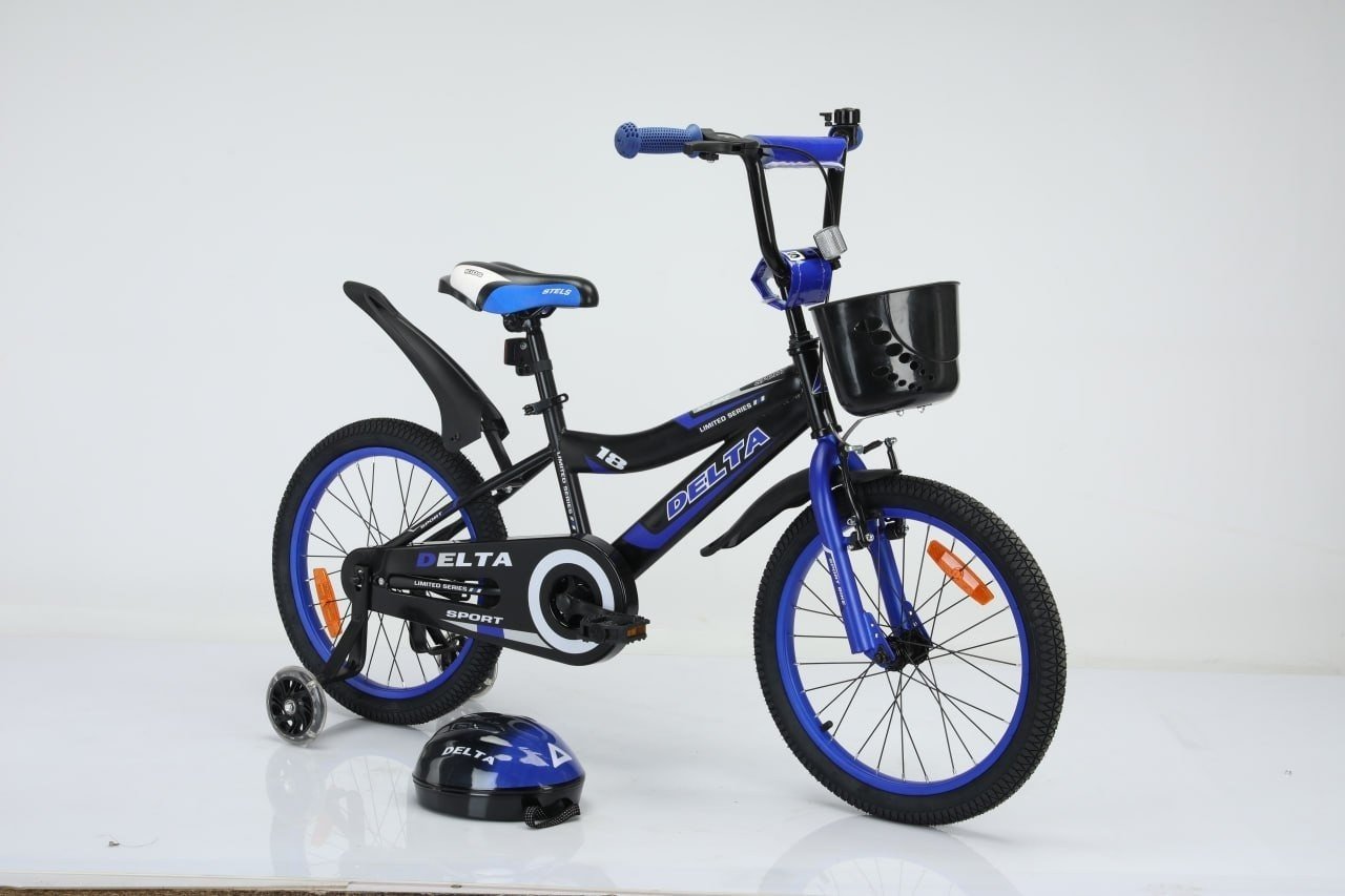 Детский велосипед Delta Sport 2005 20 (синий, разобранный, в коробке)