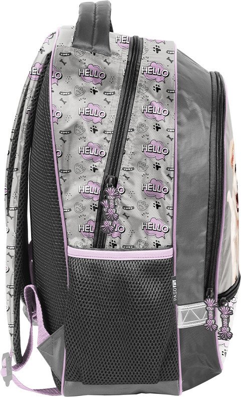 Школьный рюкзак Paso PP26SZ-260
