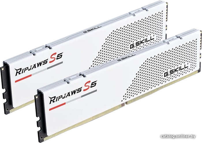 Оперативная память G.Skill Ripjaws S5 2x16 ГБ DDR5 5600 МГц F5-5600J3636C16GX2-RS5W