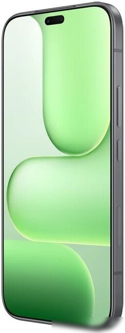 Телефон HONOR 600 Lite 8GB/256GB международная версия (вельветовый черный)