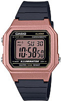 Наручные часы Casio W-217HM-5AVEF