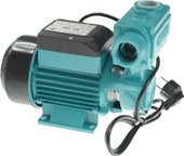 Самовсасывающий насос Greenpump WZ 250