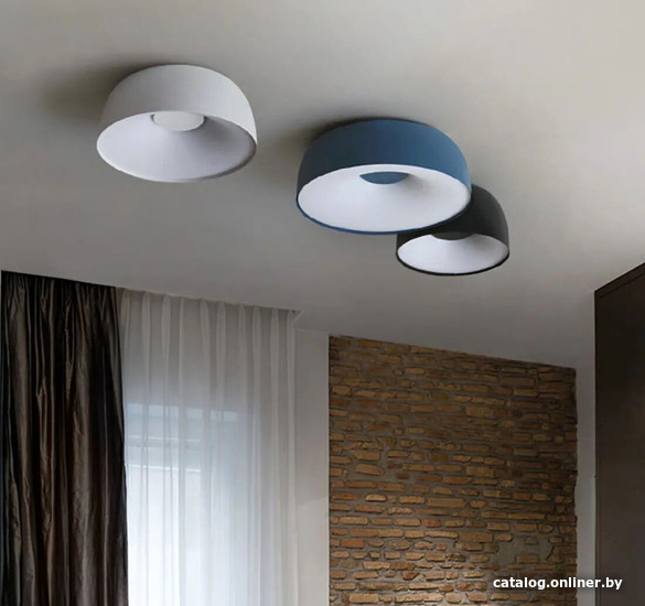 Припотолочная люстра ImperiumLoft Brim01 184483-26