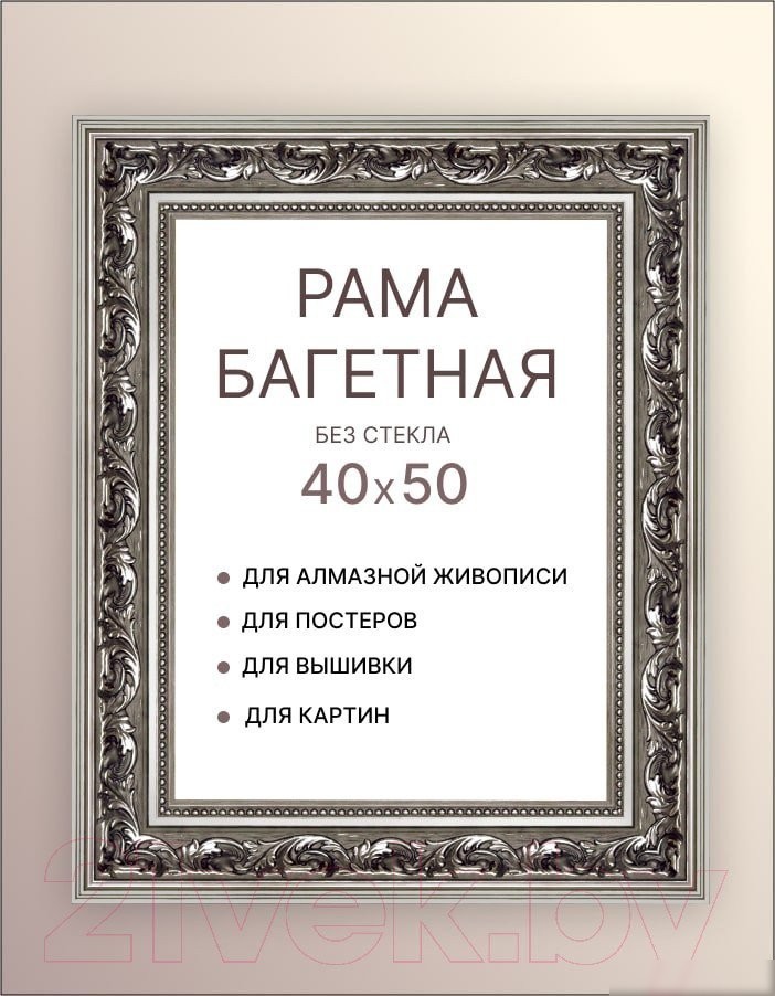Фоторамка Декарт 40x50 8Л2304 (серебристый)