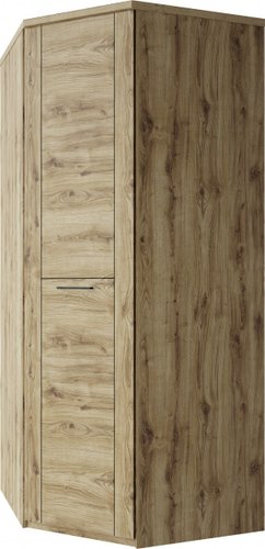Шкаф распашной Anrex Doorset угловой 1DG (дуб наварра)